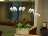 Flowerbowl