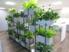 Modern decorative planters for office