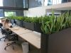 Modern rectangle planters for office