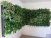 Green walls