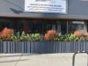 Plants for a restaurant