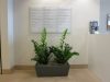 commercial indoor plant service Los Angeles area office