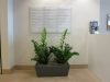 Plants in office lobby