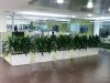 indoor office plants Los Angeles nowcom building