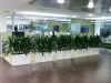 Indoor Rectangle Planter