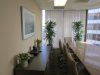 plants for conference room
