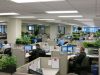 indoor plant service in Los Angeles office -   Westlake