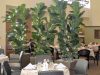 indoor plants commercial plant service in Los Angeles - Village Northridge