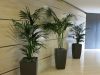 interior office plants Los Angeles commercial-building hallway